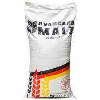 LD Carlsons - Avangard Malz Pilsen (750ml) (750ml)