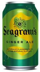 Seagrams - Ginger Ale (20oz can) (20oz can)