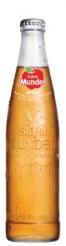 Sidral - Mundet Apple Soda (355ml) (355ml)