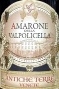 Antiche Terre - Amarone della Valpolicella 2012 (750ml)